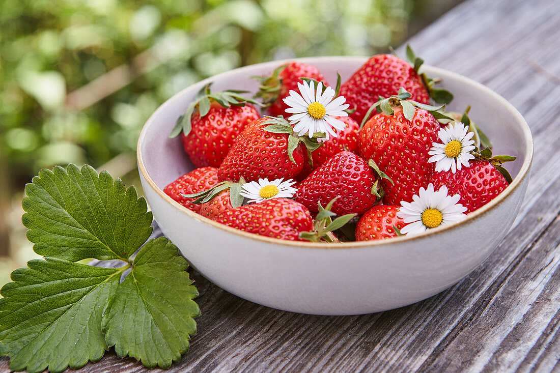Frische Erdbeeren mit Gänseblümchen in einer Schale