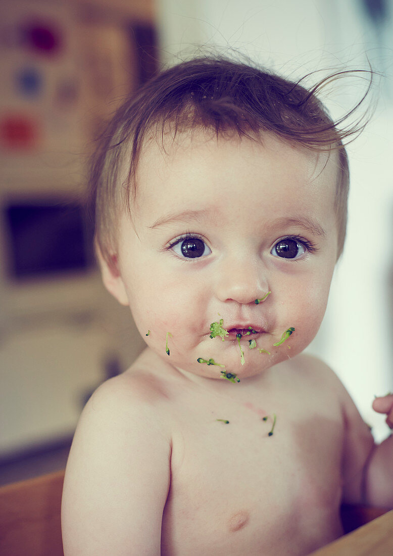 Toddler eats broccoli