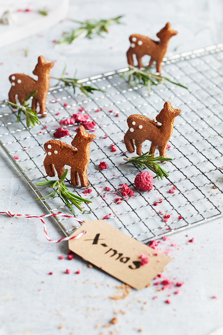 Roast gingerbread on a cooling rack with rosemary and dried raspberries