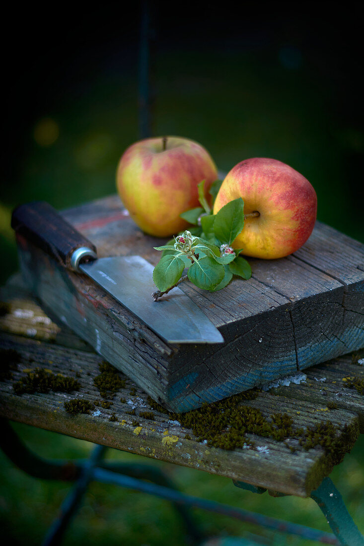 Zwei Äpfel mit Blätterzweig und Messer auf Holzblock