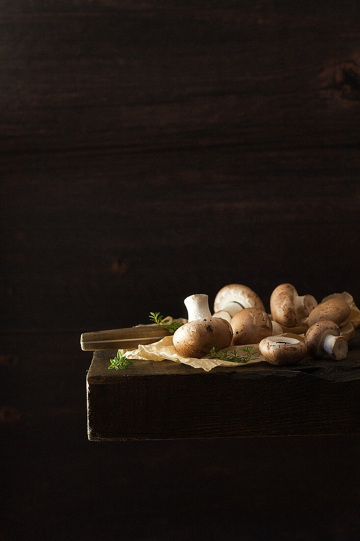 Mushrooms in a Dark Setting on a Table