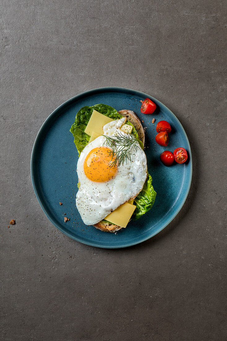 Bread topped with lettuce leaves, tomatoes, mountain cheese, fried egg and dill