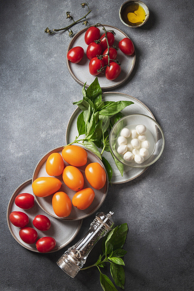 Tomaten, Basilikum und Mozzarella als Zutaten für Caprese-Salat
