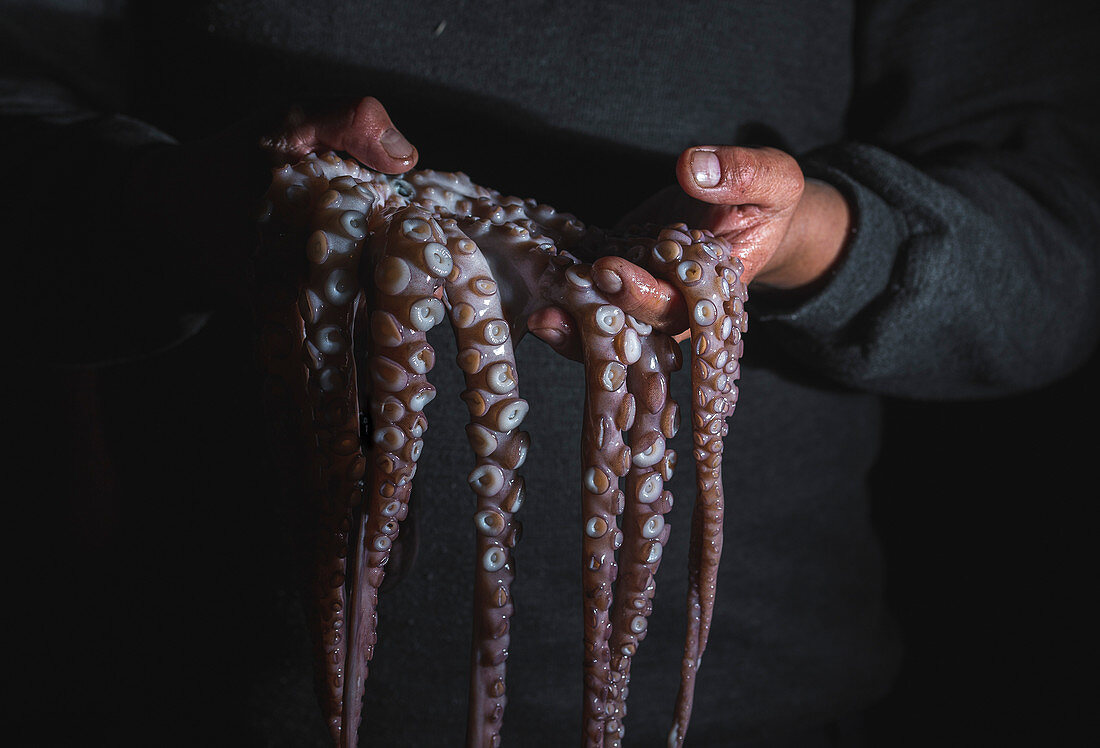 Man holding fresh raw octopus.