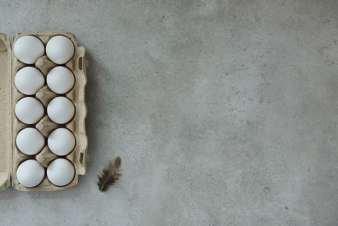 Eier im Eierbehälter und Feder auf grauem Untergrund
