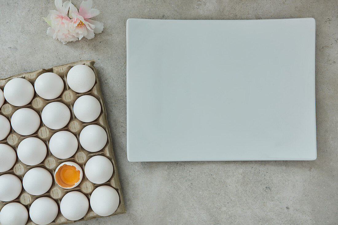 Eierkarton mit aufgeschlagenem Ei, Porzellanplatte und Blüte auf grauem Untergrund