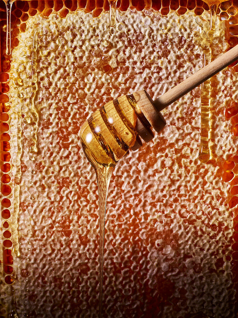Honig fließt vom Honiglöffel, im Hintergrund Honigwabe