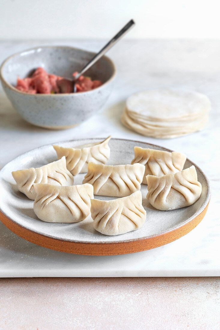 Ungekochte Potstickers mit Hähnchenfüllung (Asien)