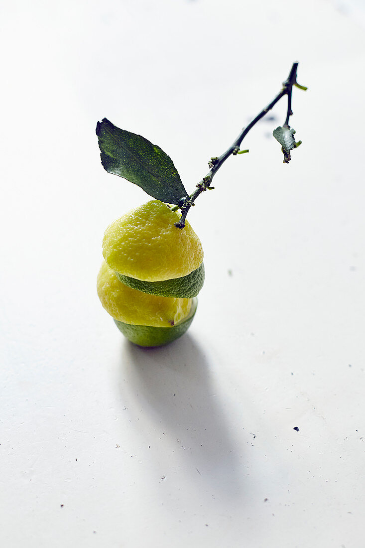 Zitronen-Limetten-Türmchen