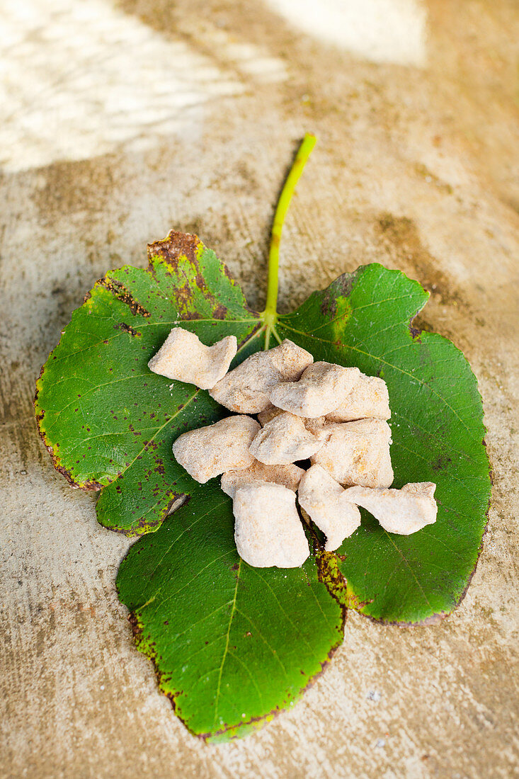 Chicharrones (pork belly with gofio) on a fig leaf