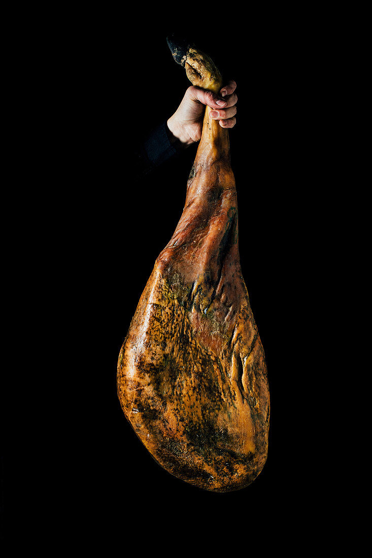 Crop unrecognizable person hand holding up a whole dry-cured ham leg on a black background