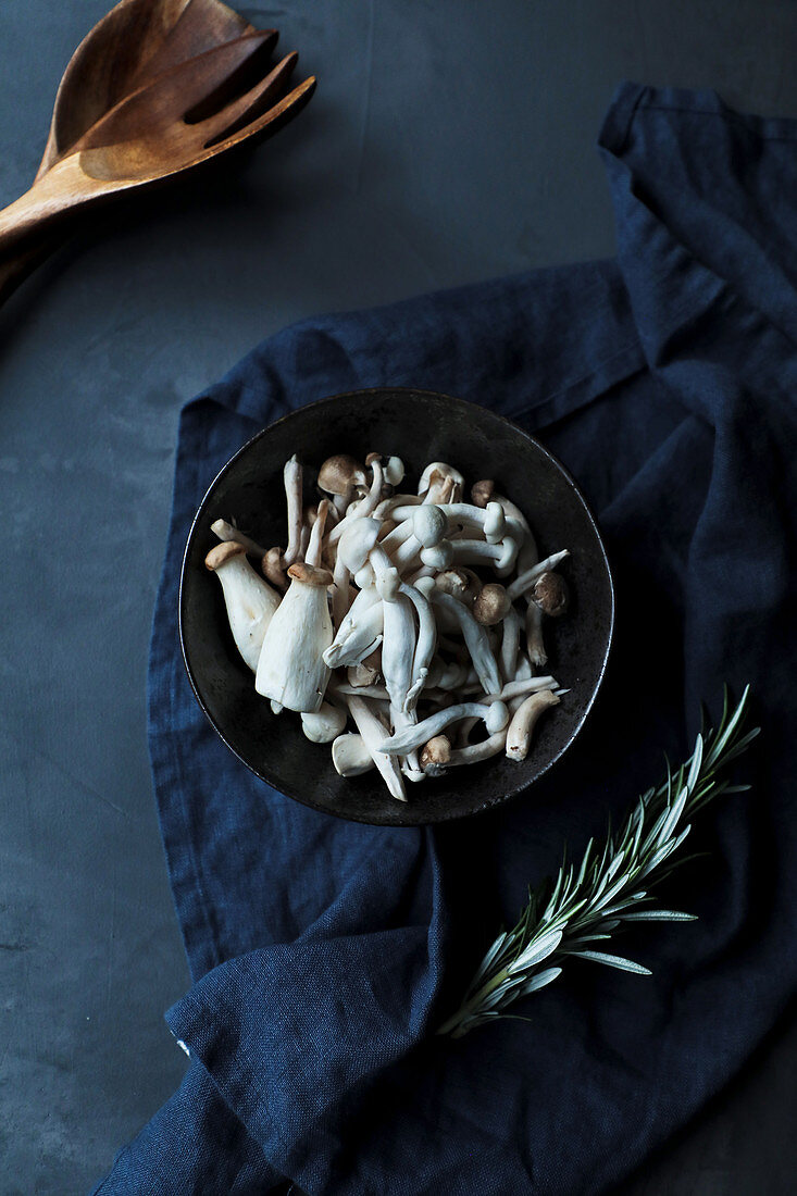 Frische Pilze und Rosmarinzweig auf blauem Untergrund