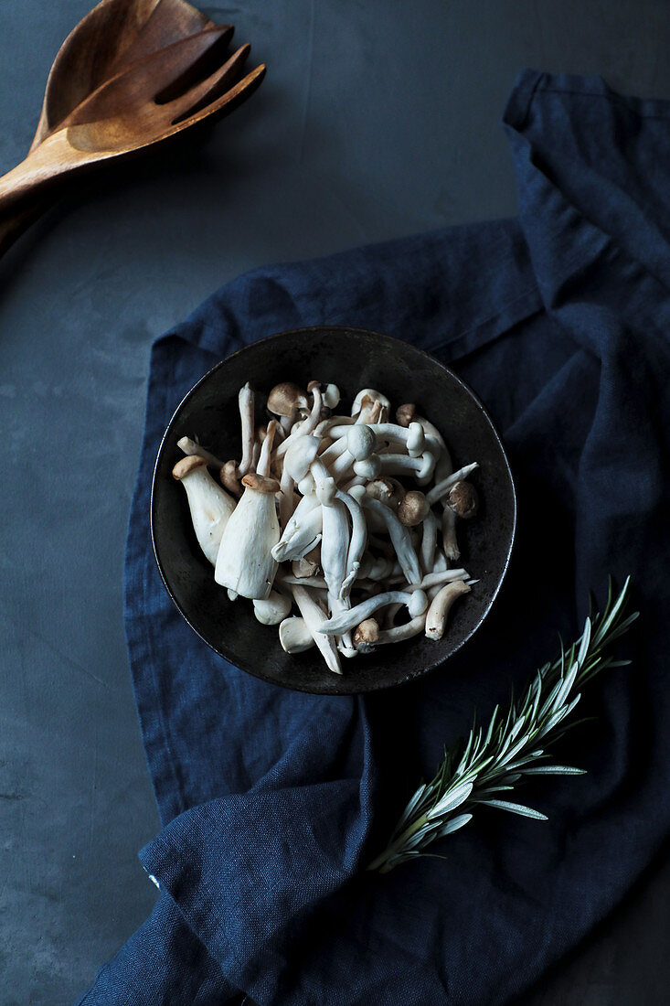 Uncooked mushrooms and fresh green rosemary stems on on dark blue towel