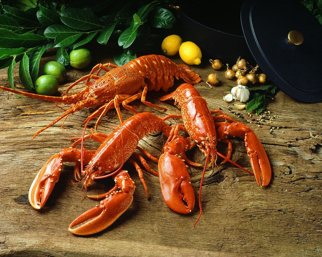Three Lobsters with Herbs, Lemons and Limes