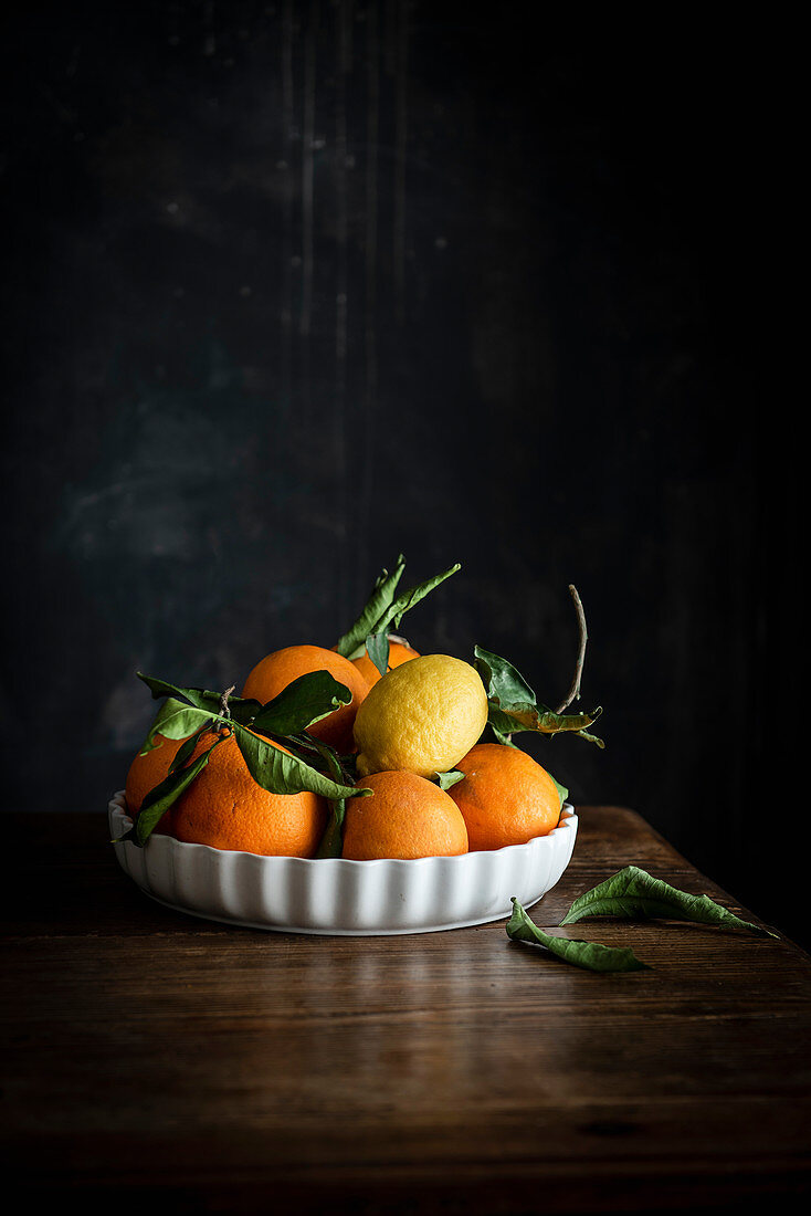 Orangen und Zitronen in flacher Schale vor dunklem Hintergrund