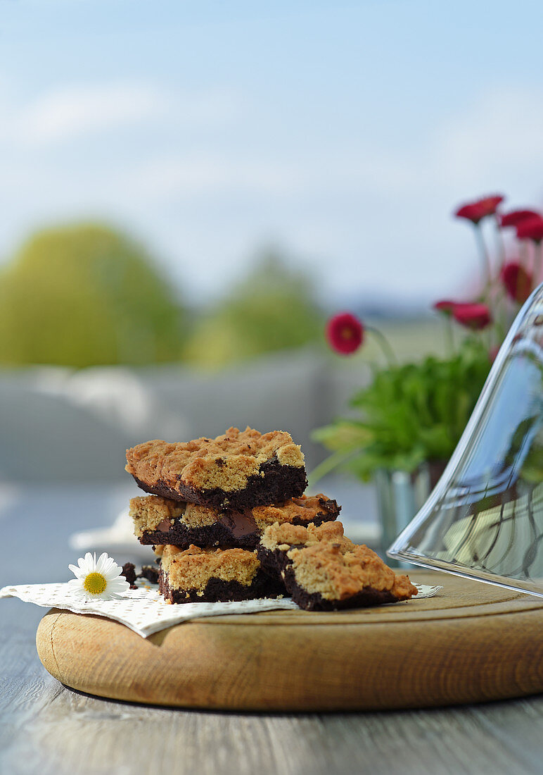 Brookies (brownies with a cookie crust, USA) outside on a table