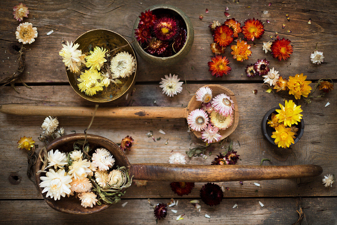 Still-life arrangement of everlasting flowers and old wooden ladles