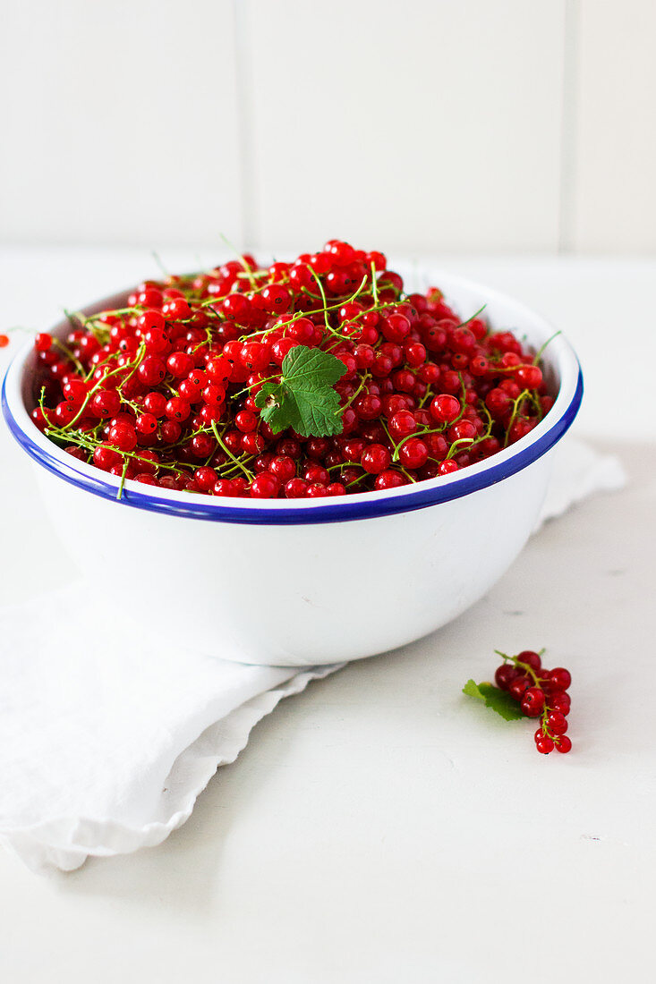 Fresh red currant in a bowl