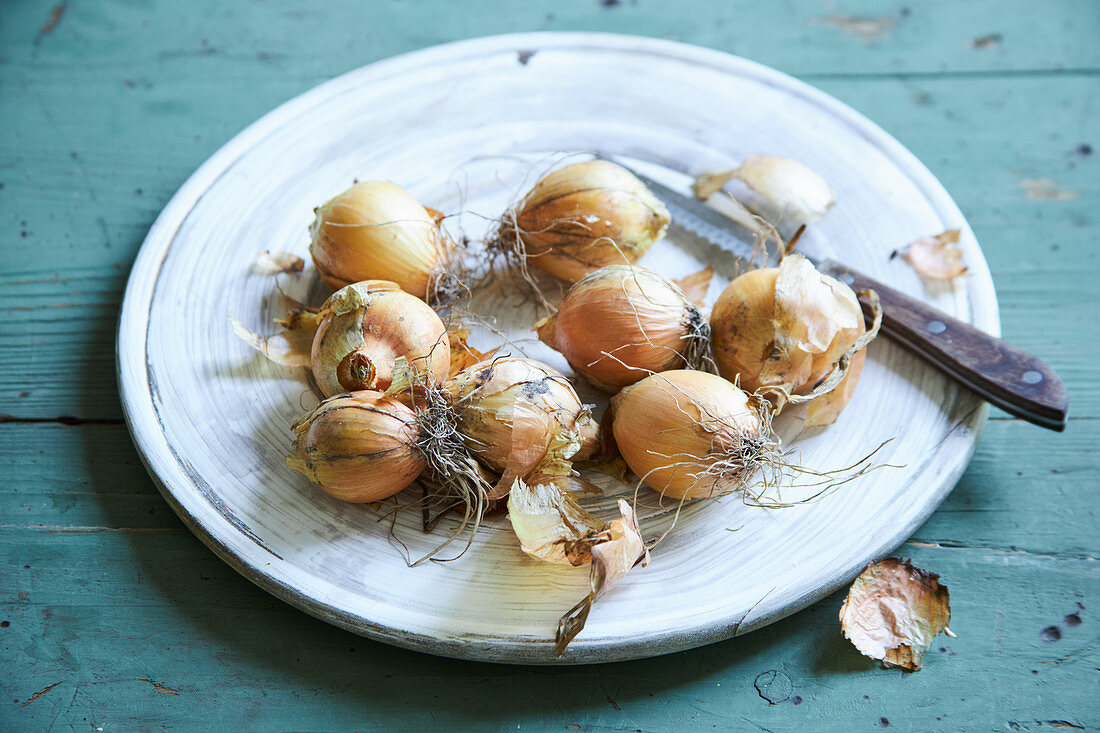 White onions on a plate