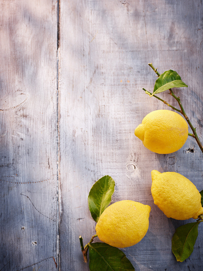 Three lemons with leaves