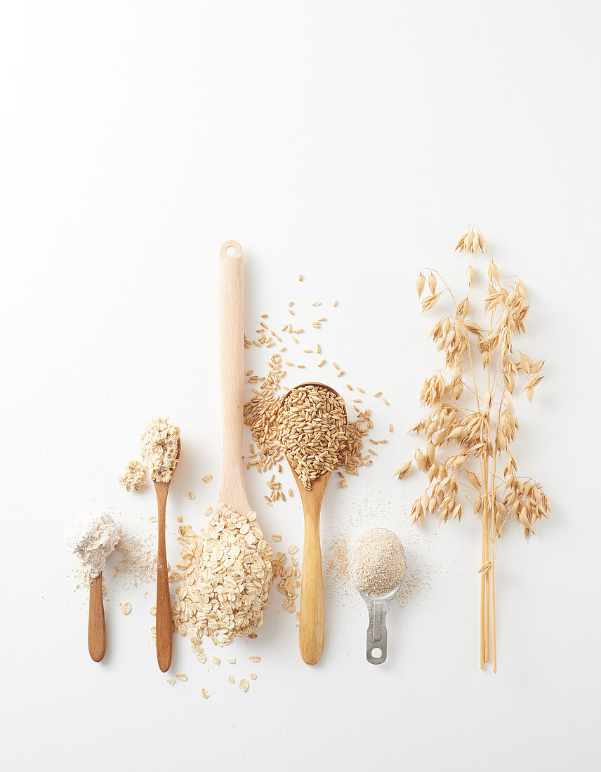 Oat ear, oat grains, oat flakes, porridge and oatmeal on spoons