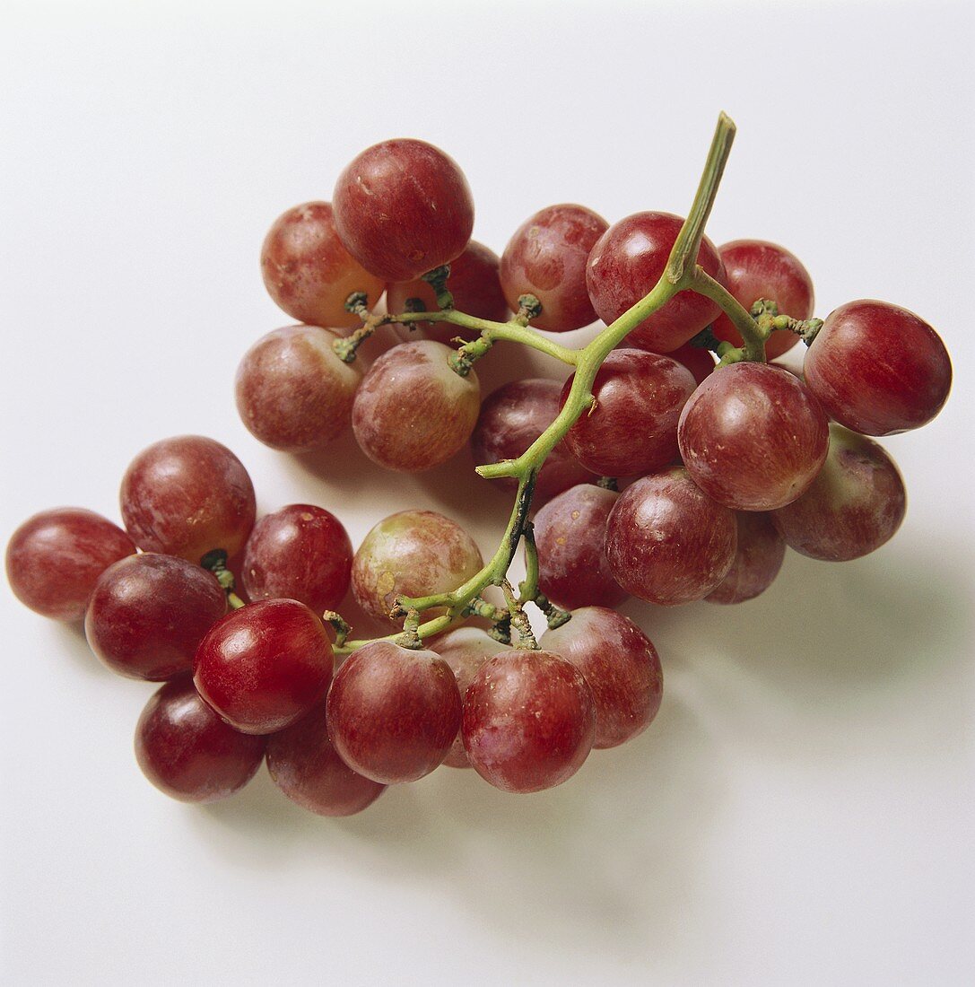 Red Grapes