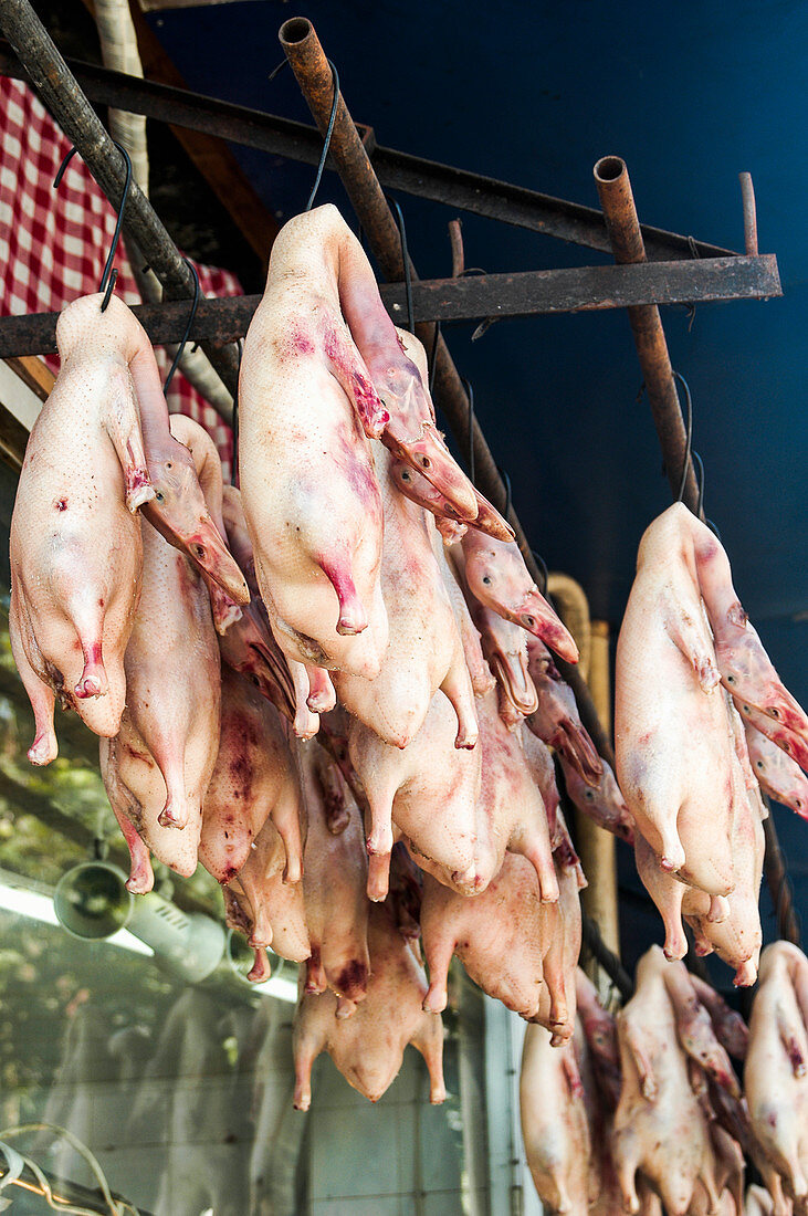 Rohe gerupfte Pekingenten hängen auf einem Markt