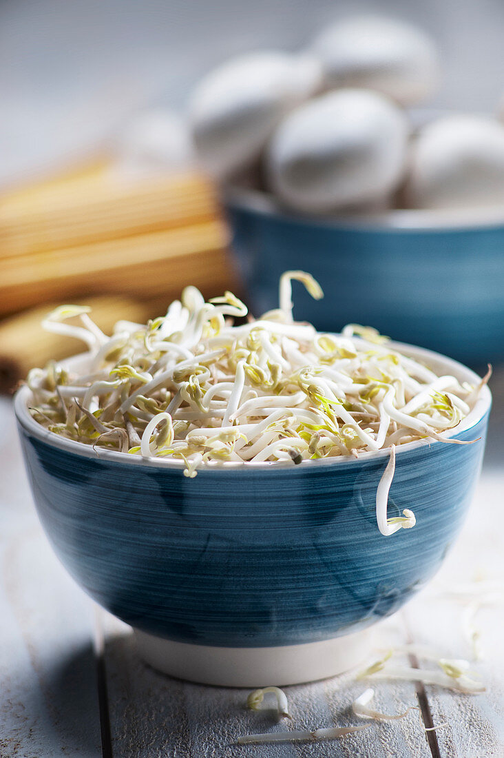 Soybean sprouts in a blue ceramic bowl