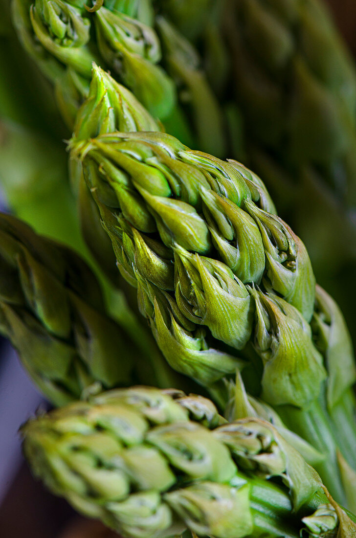 Green asparagus tips