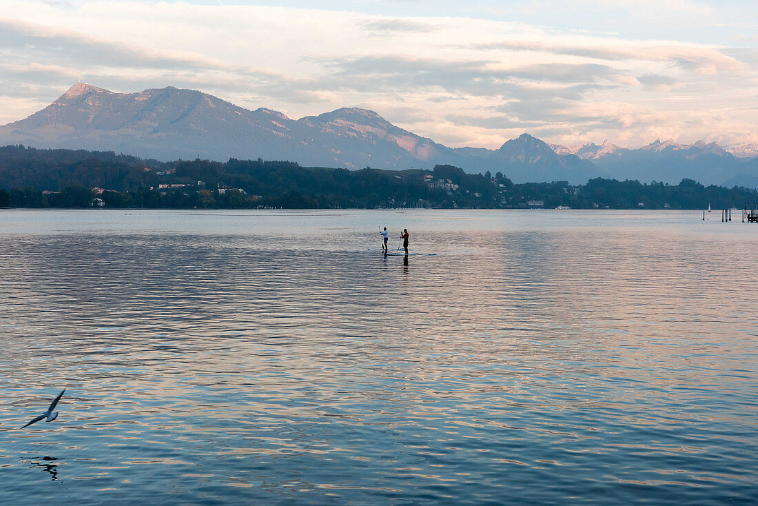 Lake Lucerne with a backdrop of the mountains with stand-up paddlers in the background, Switzerland