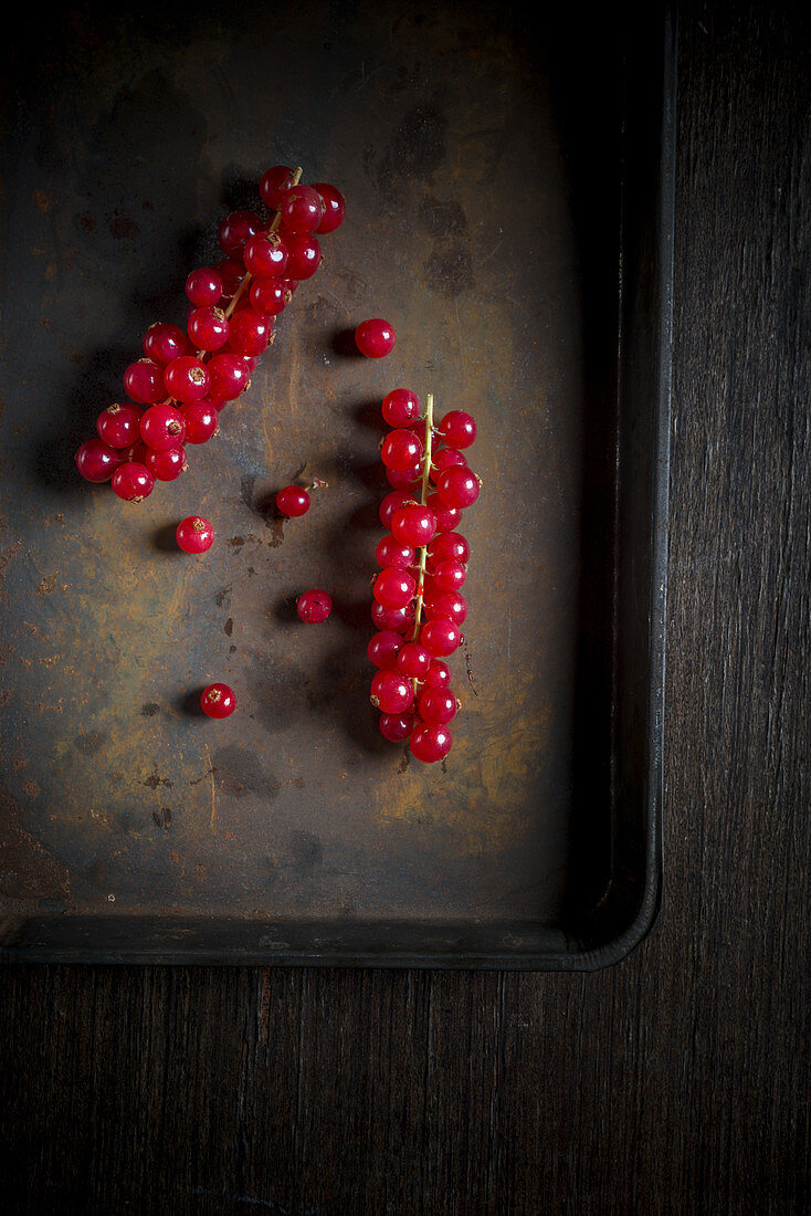 Red Currants on old Tray