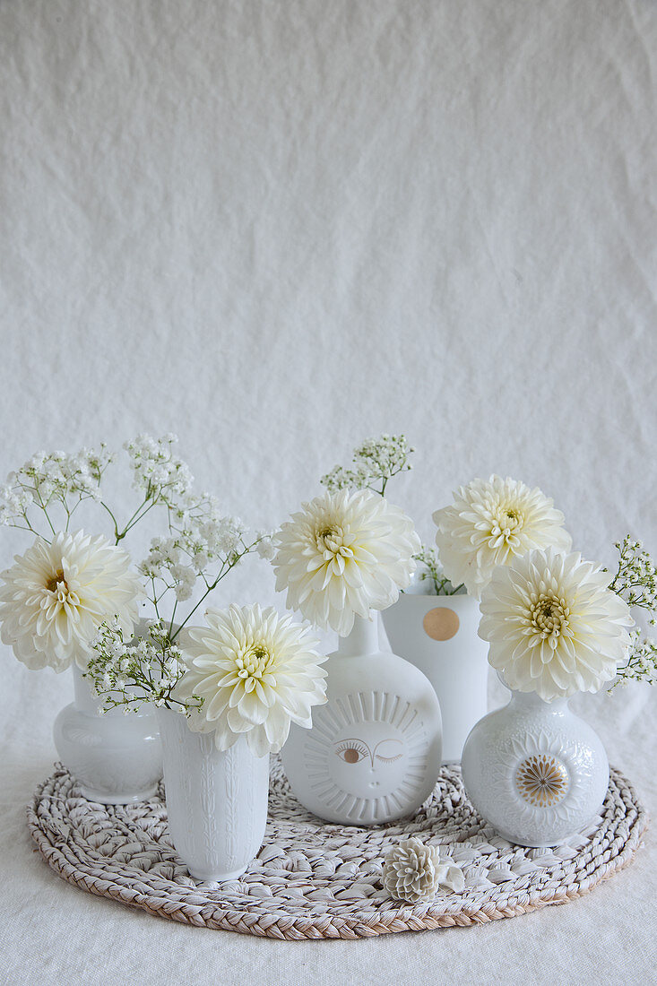 Dahlias and gypsophila in white vases