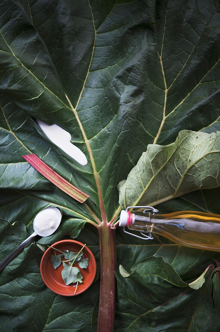 Take five: rhubarb, yoghurt, cream, elderflower syrup and sorrel