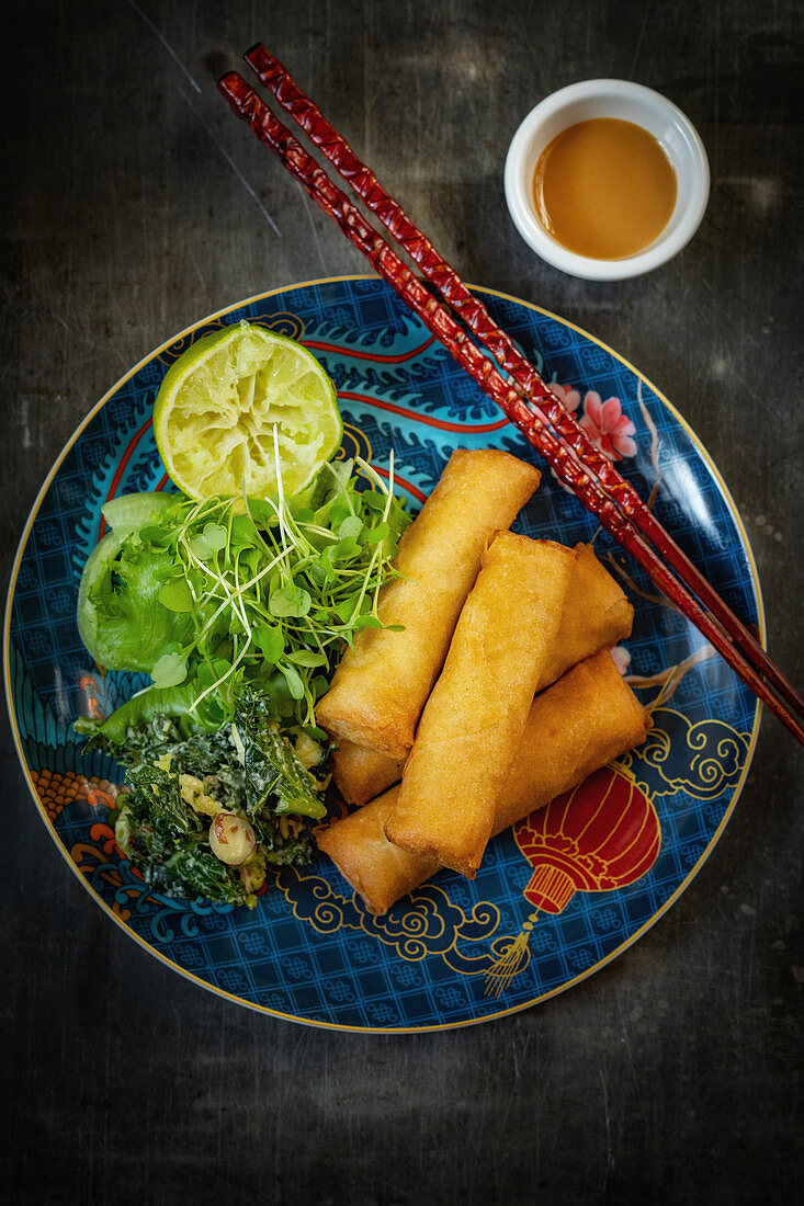 Frühlingsrollen mit Salat und Dip (Asien)