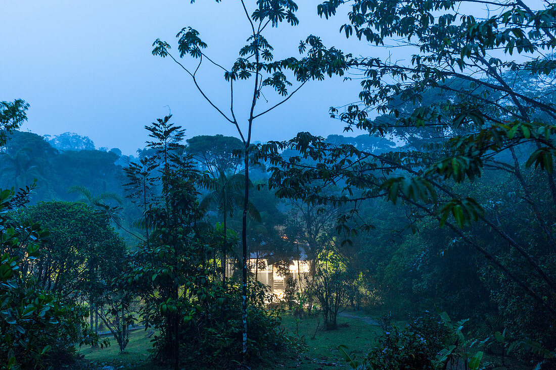 Rara Avis Lodge im Regenwald, Costa Rica, Zentralamerika, Amerika