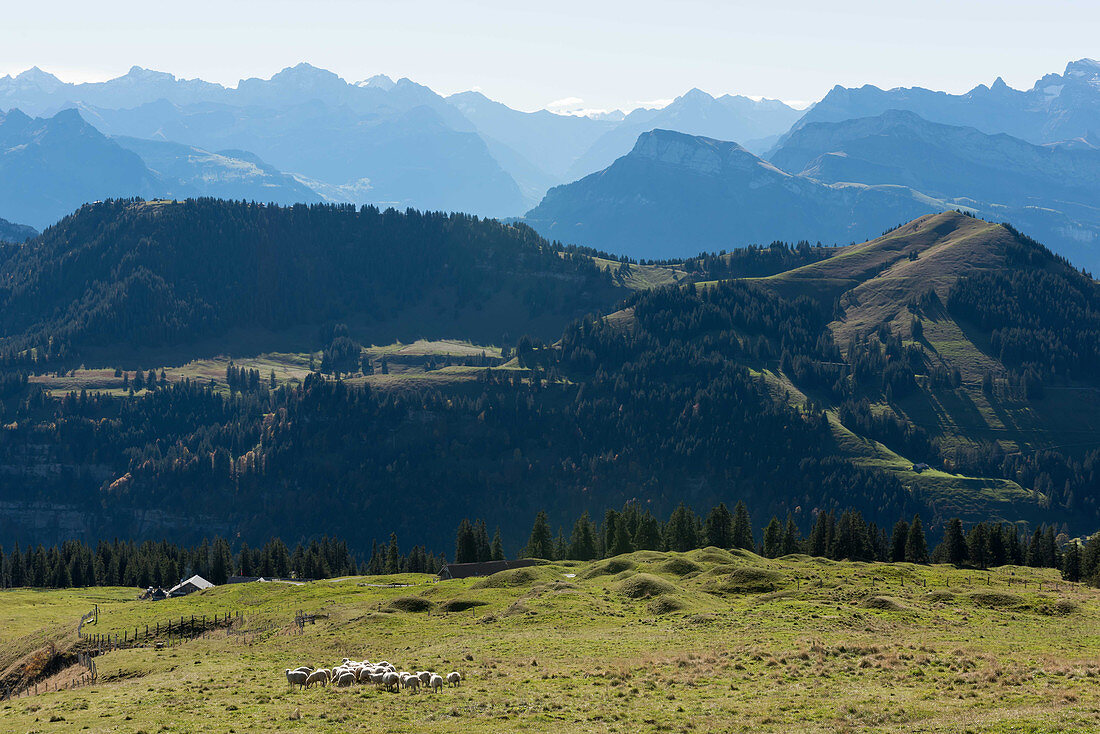 Bergpanorama von der Rigi, Luzern, Schweiz