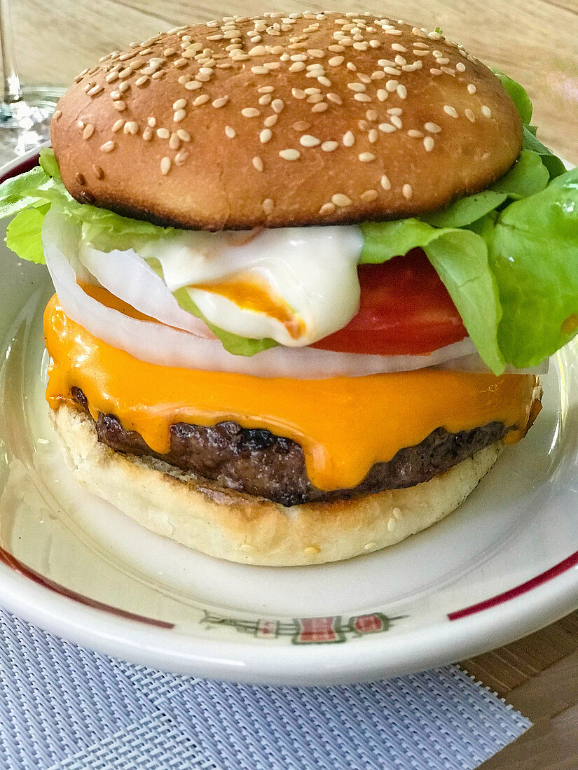 A cheeseburger with onions, tomato and mayonnaise
