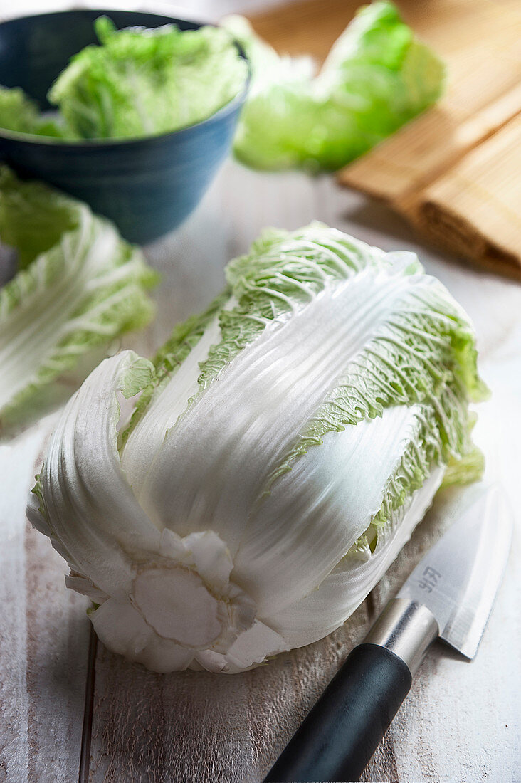 Whole cinese cabbage on a rustic white wooden table with chinese knife and cabbage leaved