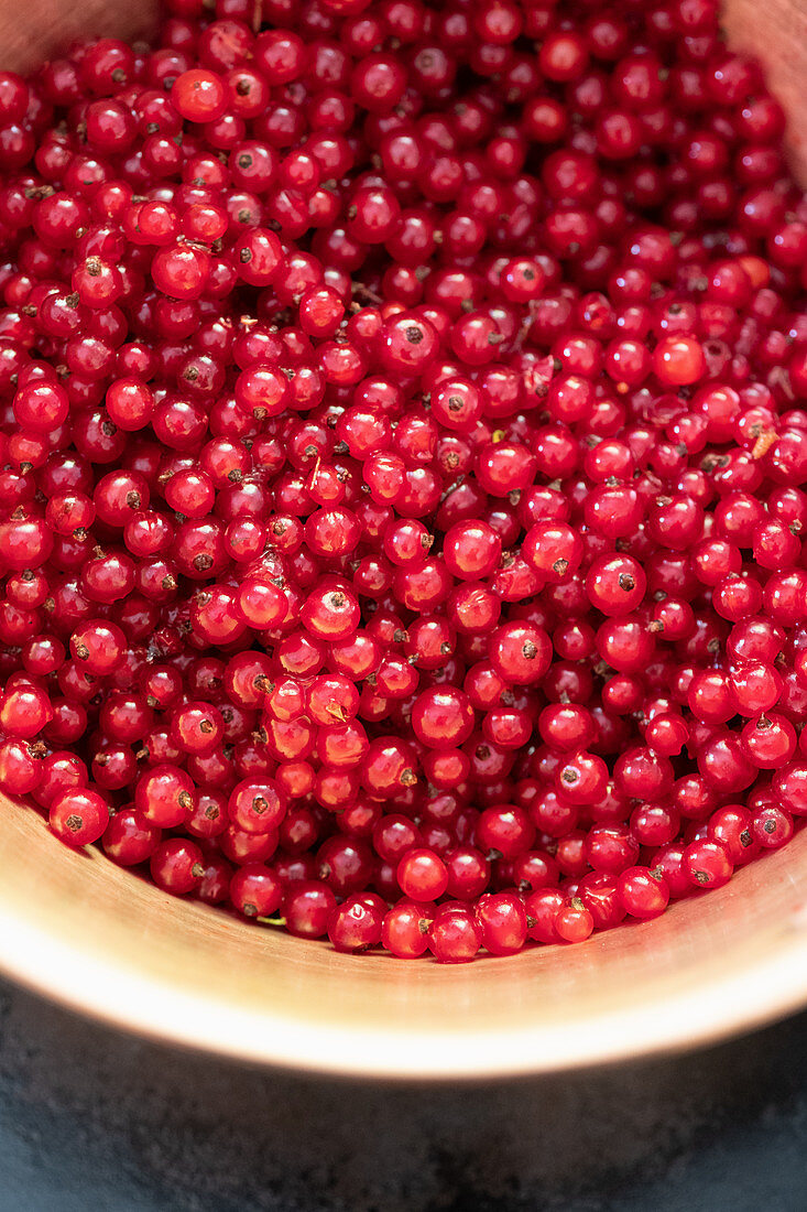 Destemmed redcurrants ready to cooked in a copper pot