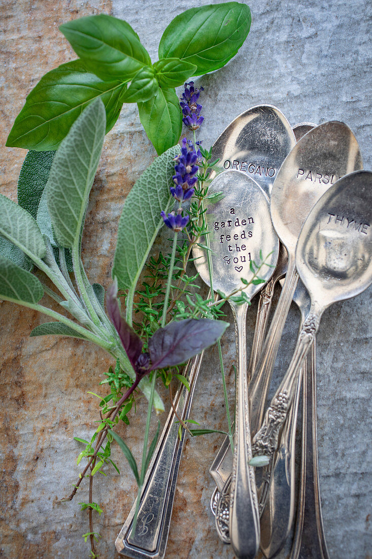 An arrangement of fresh garden herbs and vintage spoons