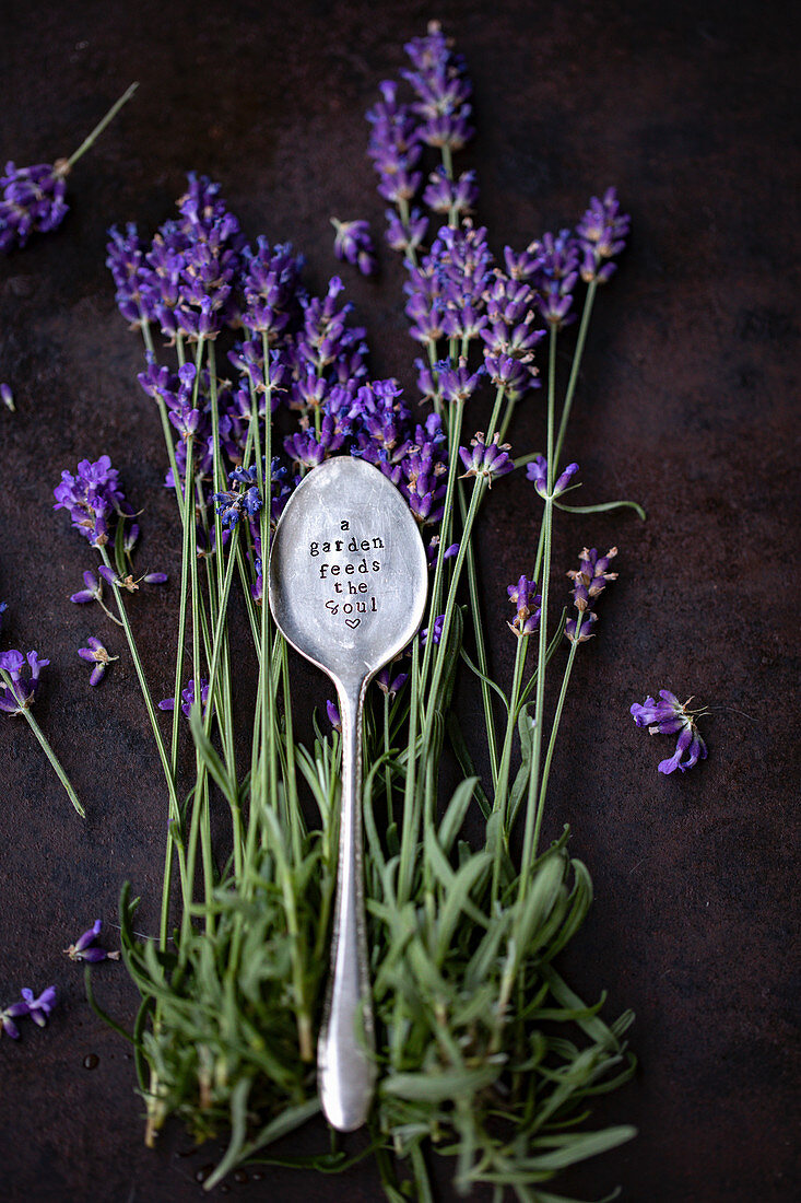 Silberlöffel mit Gravur auf Lavendelzweigen liegend