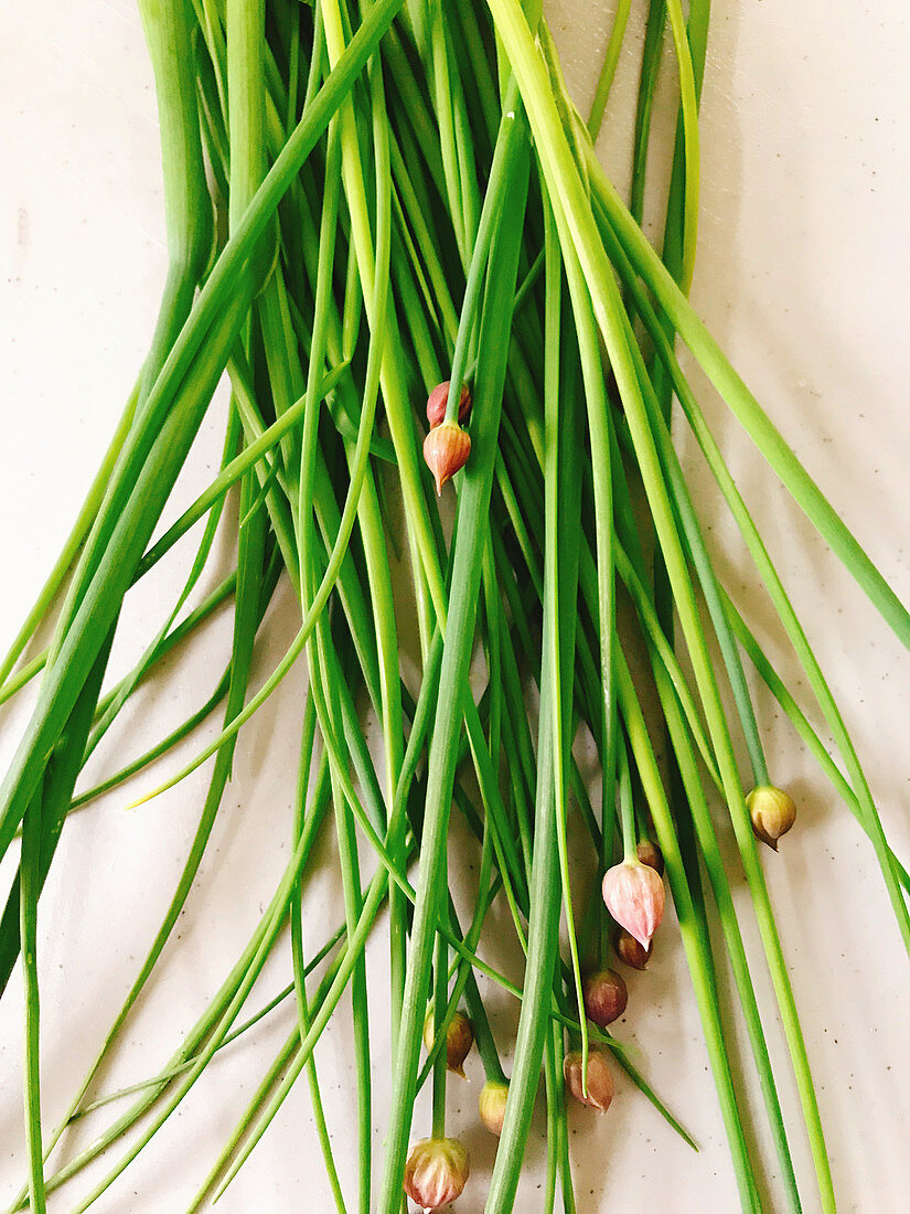 Chives with buds