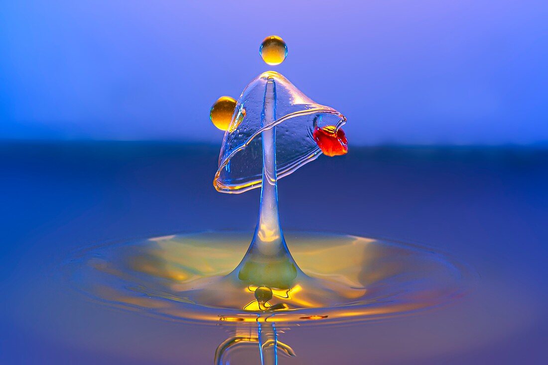 Water drop impact, high-speed photograph