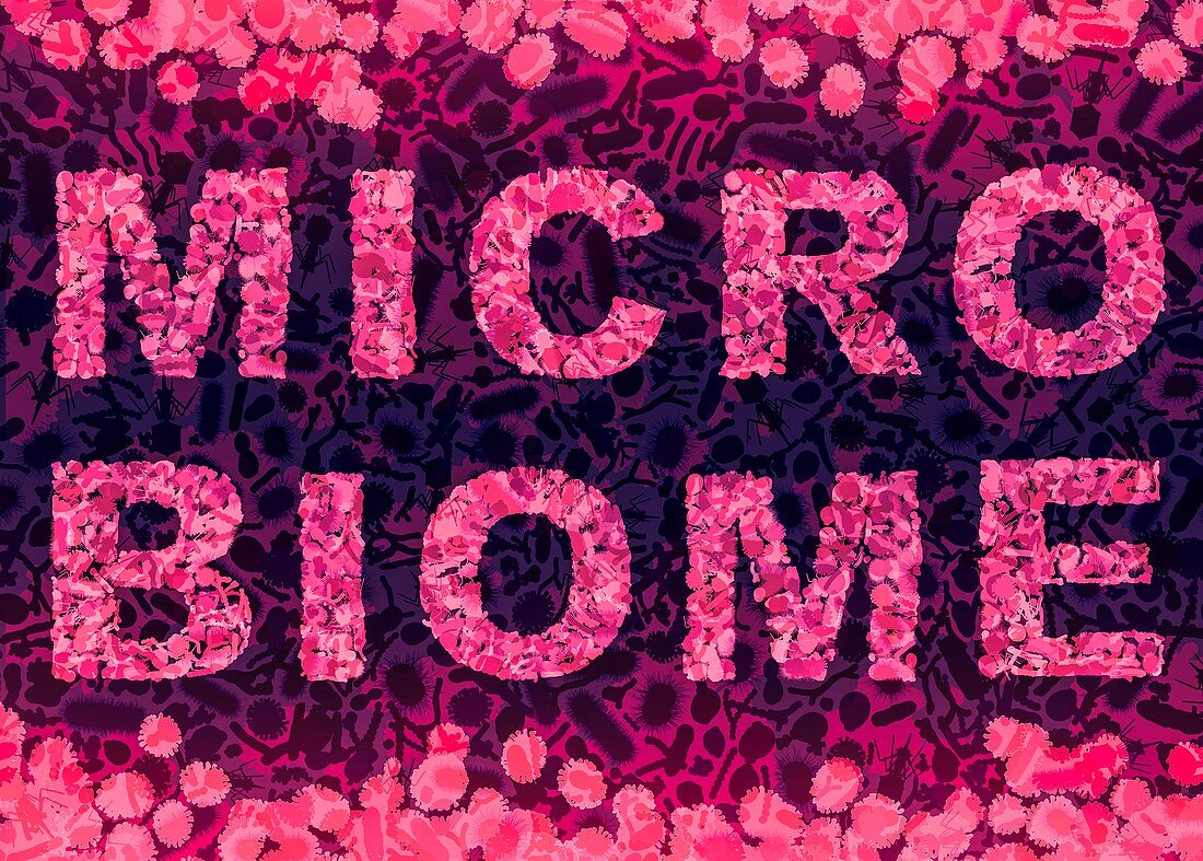 Microbiome, conceptual illustration