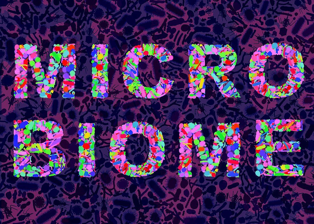 Microbiome, conceptual illustration