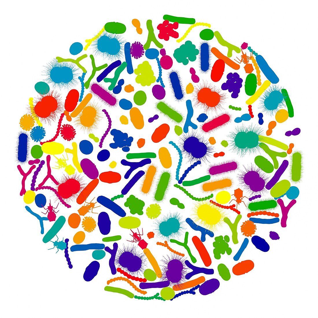 Microbes, illustration