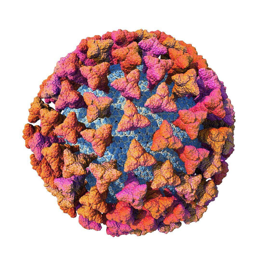 Covid-19 coronavirus particle, illustration
