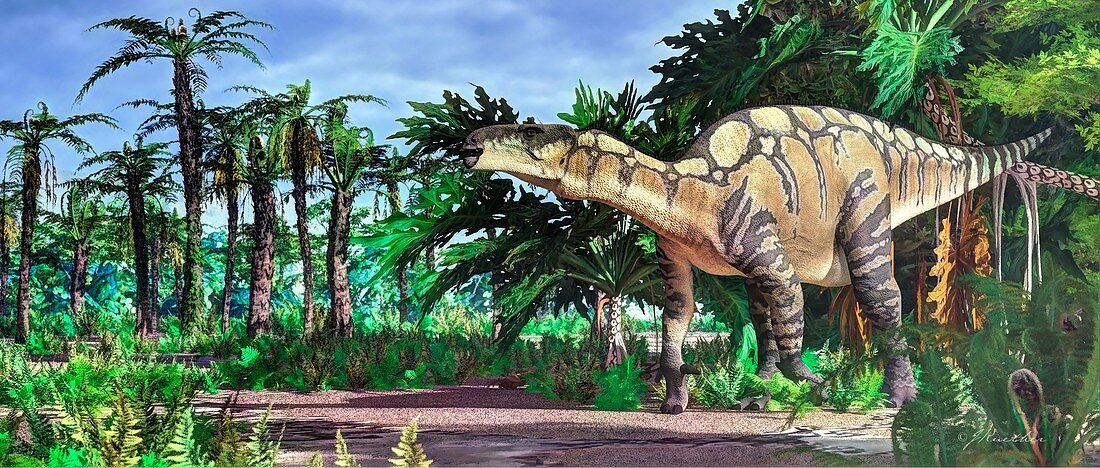 Illustration of Iguanodon dinosaur