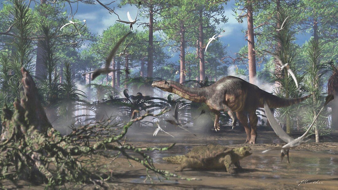 Plateosaurus dinosaur, illustration
