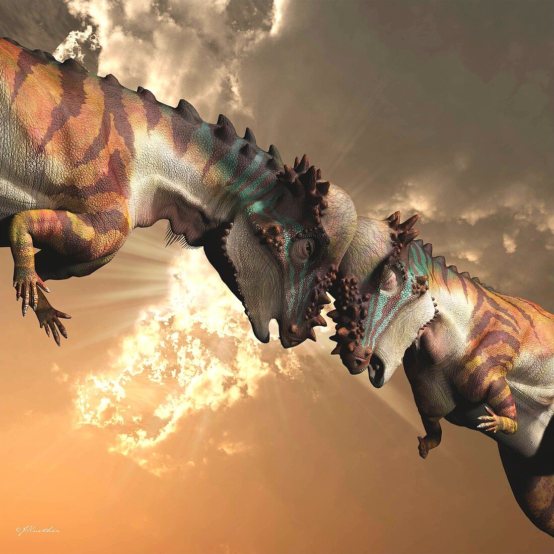Pair of Pachycephalosaurus dinosaurs, illustration